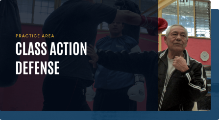 Class Action Defense img
