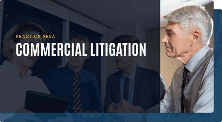 Commercial Litigation img