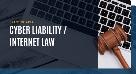 Cyber Liability Internet Law img